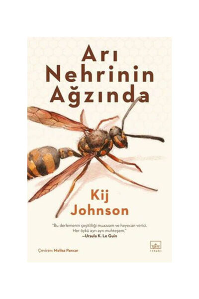 İthaki Yayınları Arı Nehrinin Ağzında