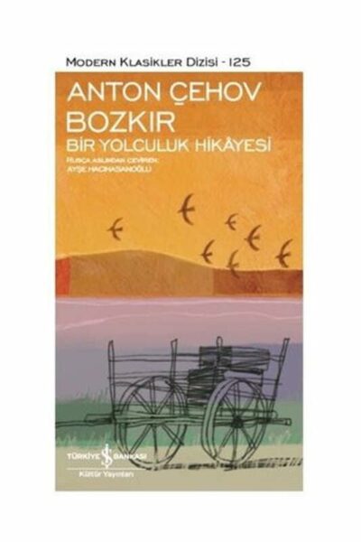 Bozkır Bir Yolculuk Hikayesi İş Bankası Kültür Yayınları