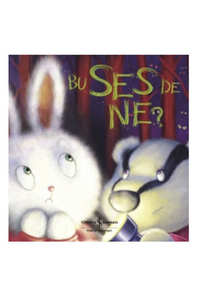 İş Bankası Kültür Yayınları Bu Ses de Ne