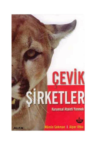 Alfa Yayıncılık Çevik Şirketler