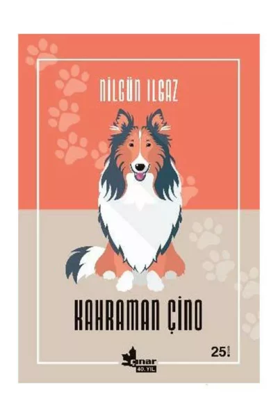 Çınar Yayınları Kahraman Çino