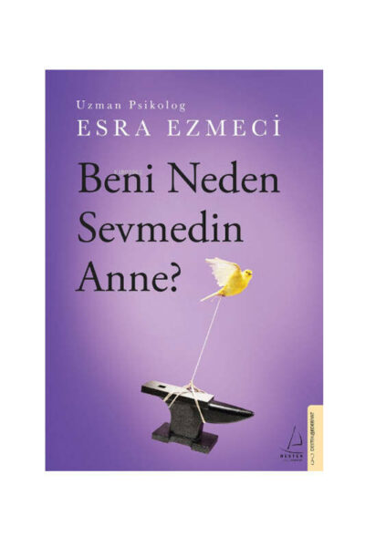Destek Yayınları Beni Neden Sevmedin Anne?