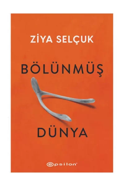 Epsilon Yayınları Bölünmüş Dünya