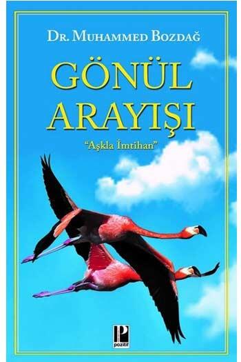 Gönül Arayışı Pozitif Yayınları