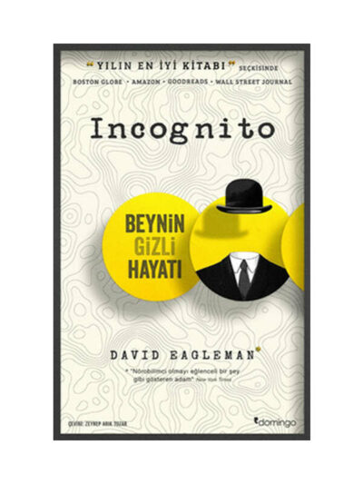 Domingo Yayınevi Incognito - Beynin Gizli Hayatı