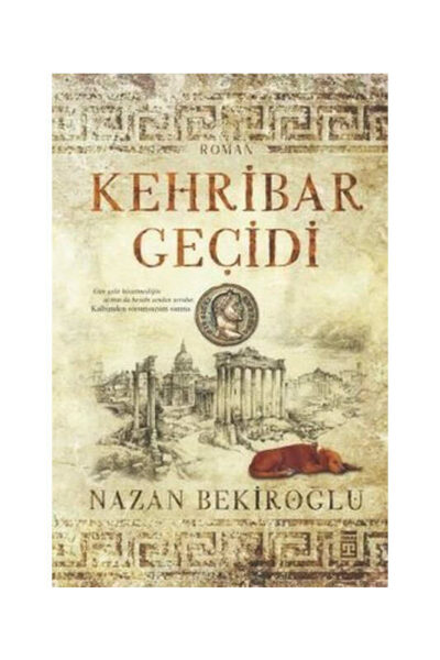 Kehribar Geçidi Timaş Yayınları