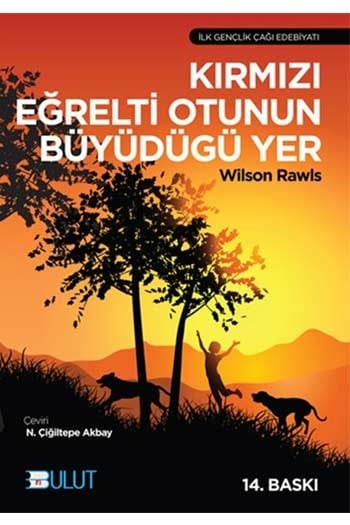 Kırmızı Eğrelti Otunun Büyüdüğü Yer Bulut Yayınları
