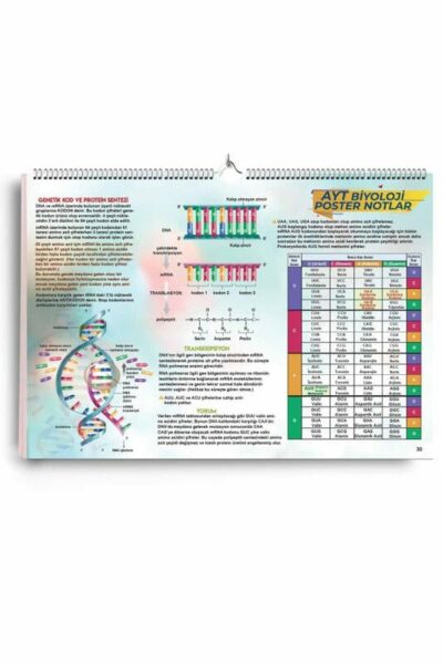 KR Akademi AYT Biyoloji Poster Notlar