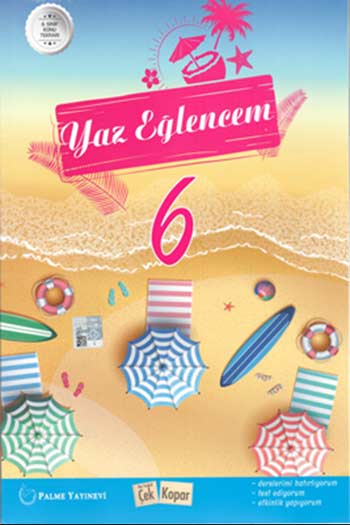 Palme Yayınları 6. Sınıf Tek Tatil Eğlencem Seti