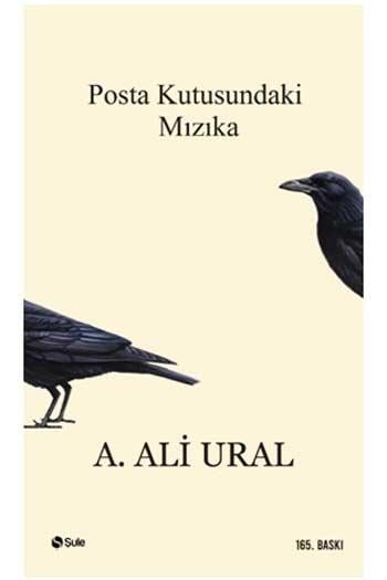 Posta Kutusundaki Mızıka Şule Yayınları