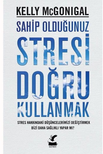 Sahip Olduğunuz Stresi Doğru Kullanmak Güney Kitap