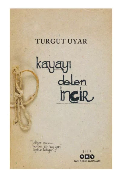 Yapı Kredi Yayınları Kayayı Delen İncir