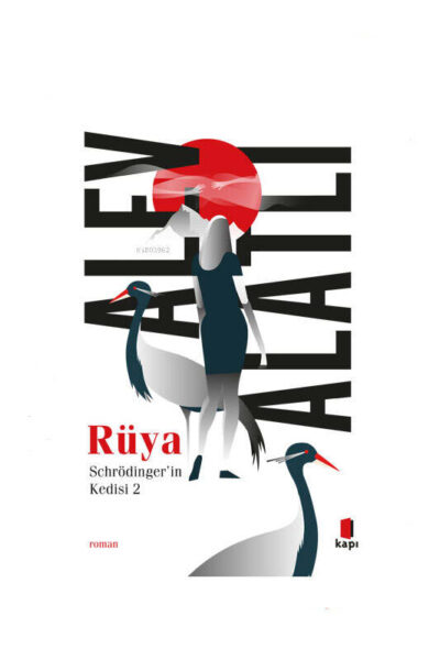 9786256661134 Kapı Yayınları