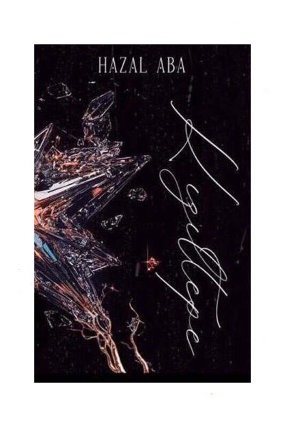 9786259787213 Lapis Yayınları