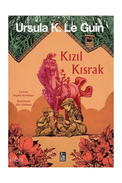 9786256534810 Xlibris Yayınları